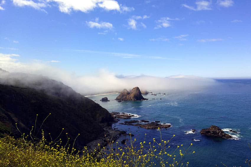 Morning fog along the Mendocineo Coast.