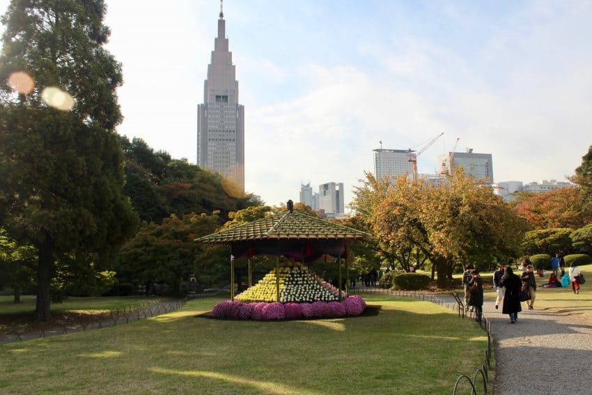 Shinjuku Gyoen Park