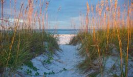 anna maria path