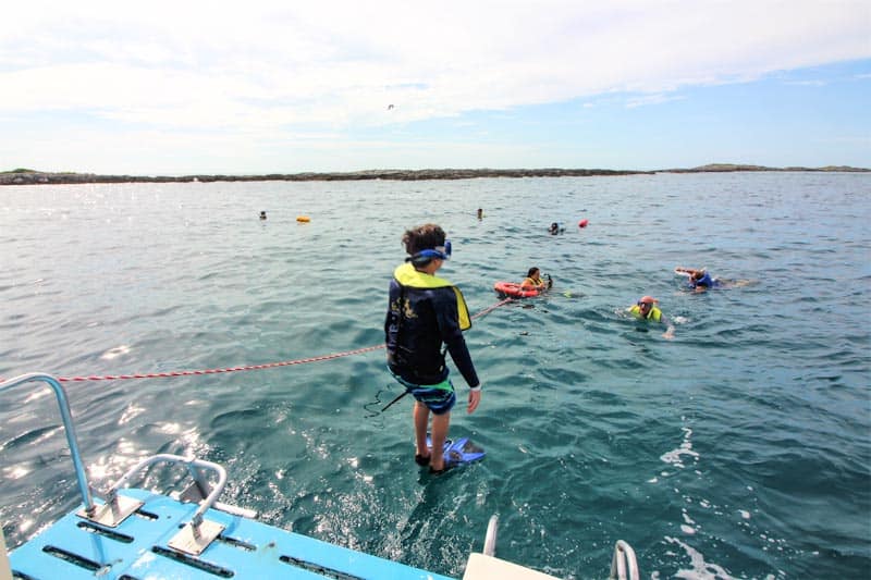 Take in the views and then take a leap and go snorkeling off the shores of Bimini. 