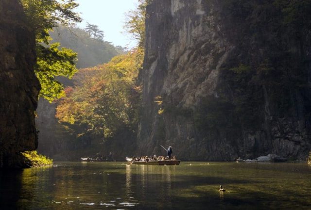 OLYMPUS DIGITAL CAMERA Japan