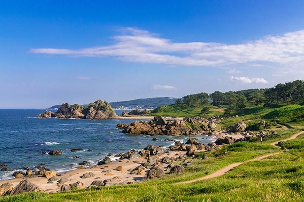 Iwate Prefecture’s coast. Courtesy of Iwate Prefecture Japan