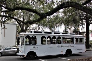 Trolley framed by oak with Spanish moss in Savannah