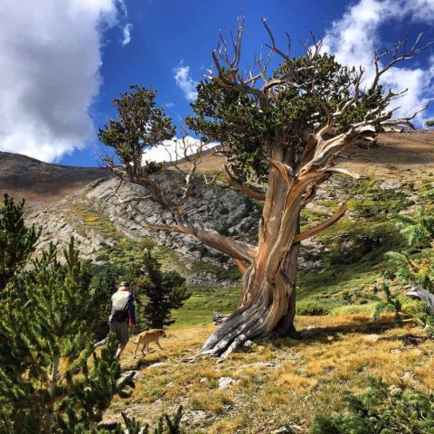 Denver,Hiking,Golden Colorado