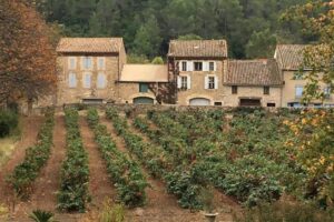The-chateau-terrace