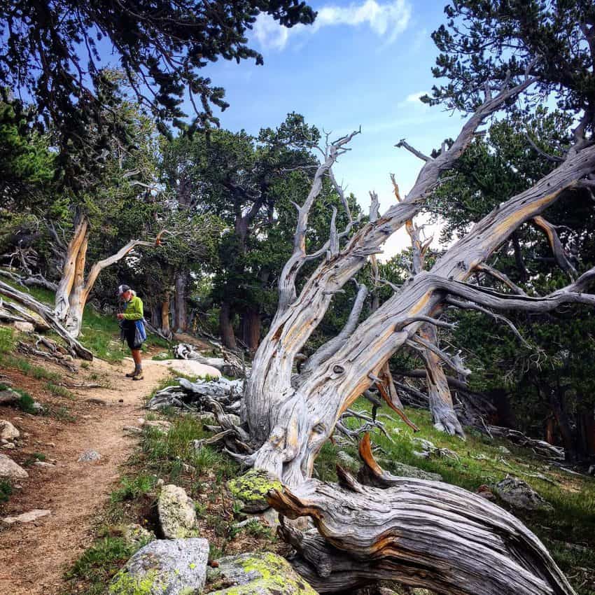 mount evans hike