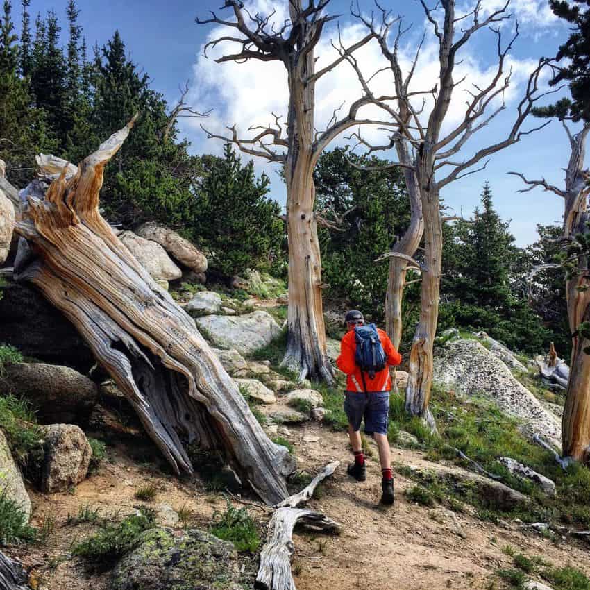 Denver: 6 of the Best Hikes, from a Local 17