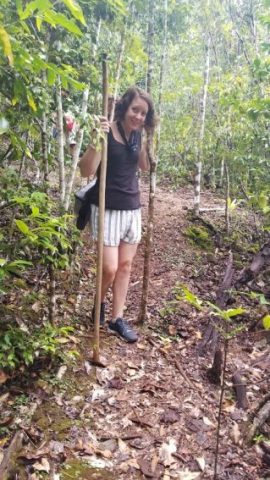 woods hike Raja Ampat,Yacht cruising