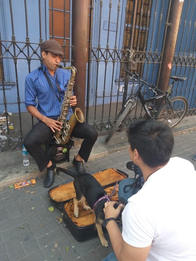 A busker in the Barranco neighborhood in Lima, Peru.