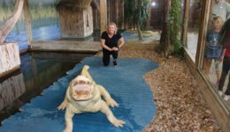 Kissimmee Gatorland AlbinoGator
