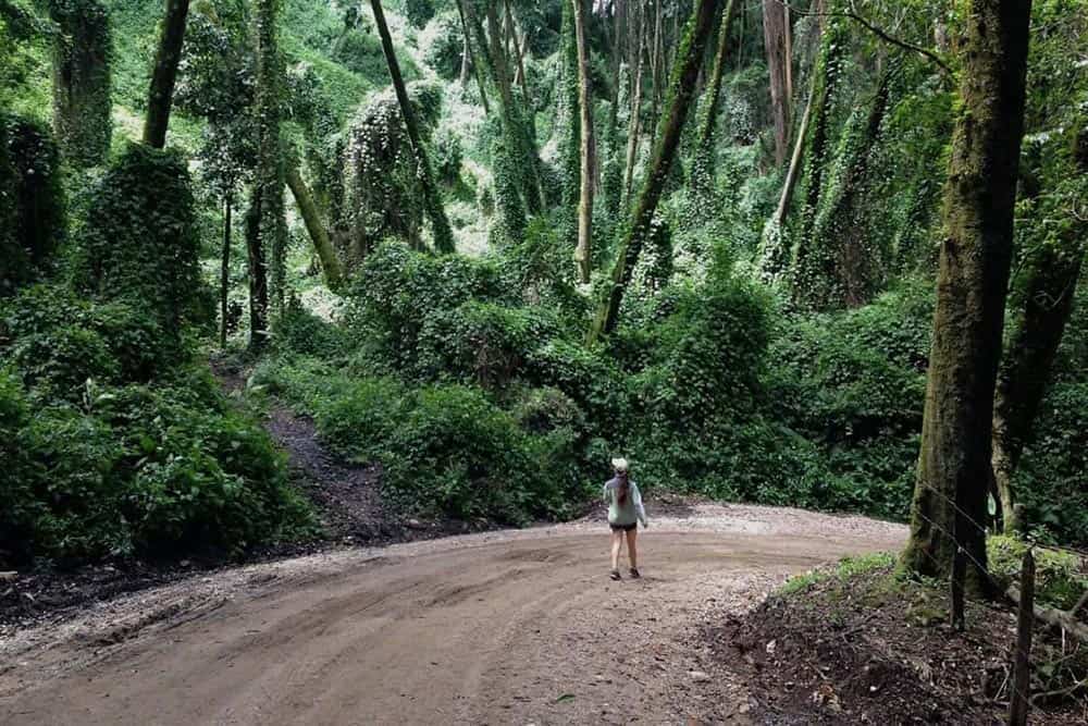 Walking an unpaved road in the Cerra de la Muerte in Costa Rica. Kristen Howard photos.