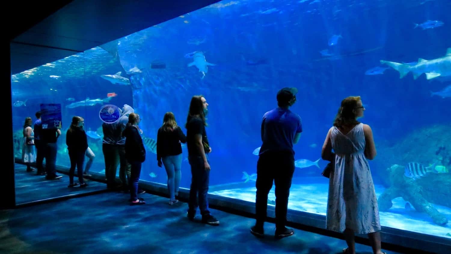 North Carolina Aquarium.