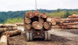 Log transport in the Congo, courtesy Wikipedia