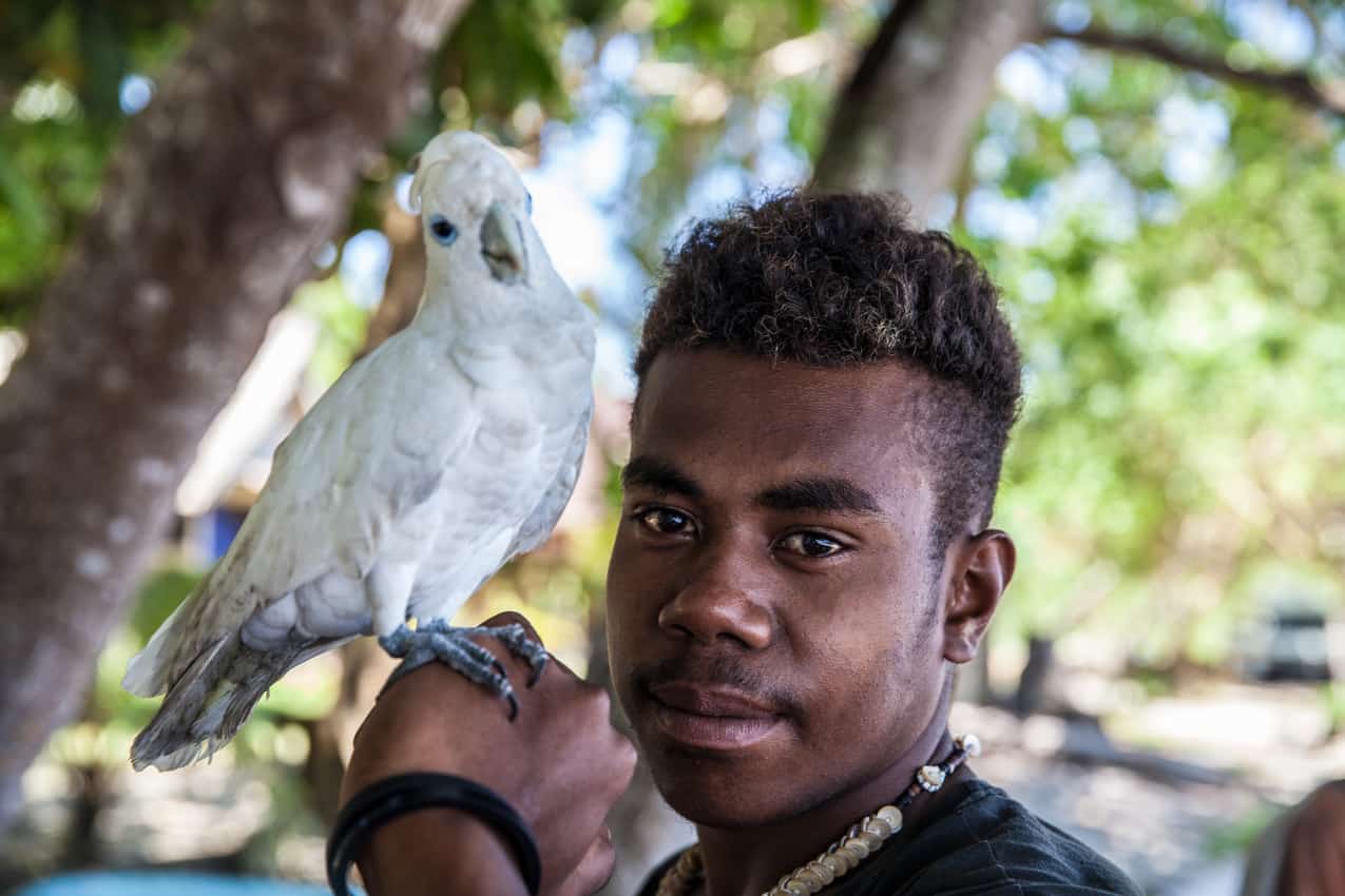 Mike Tohabellana, at home on Guadalcanal, plays with his pet cockatoo.