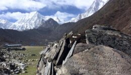 Mani walls in Dharmasala with Manaslu, Naike, and Larke Peak on the backdrop