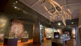 manx museum1