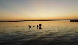 Lake Siwa Swimming