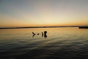 Lake Siwa Swimming
