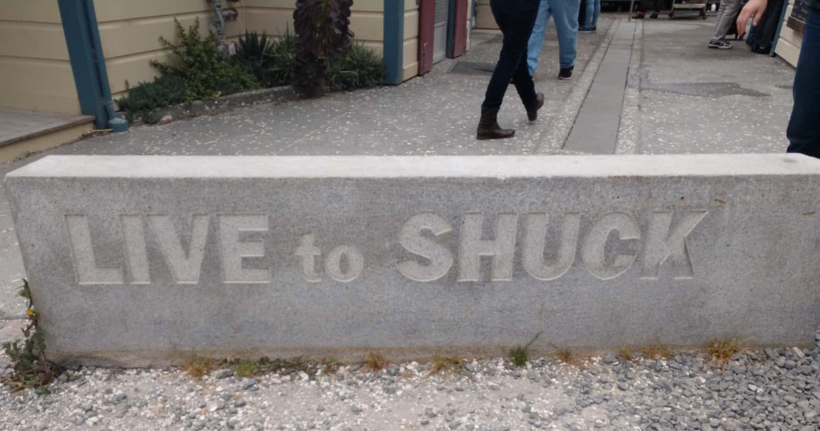 live to shuck