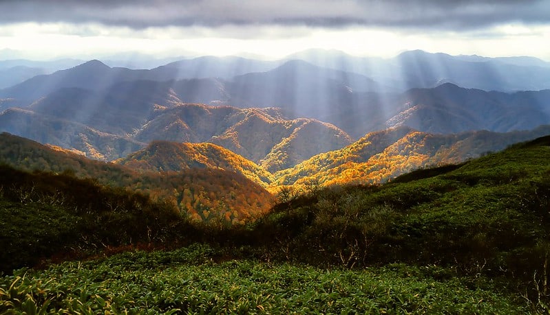 Sunlight streaming through the clouds at Shirakami Sanchi