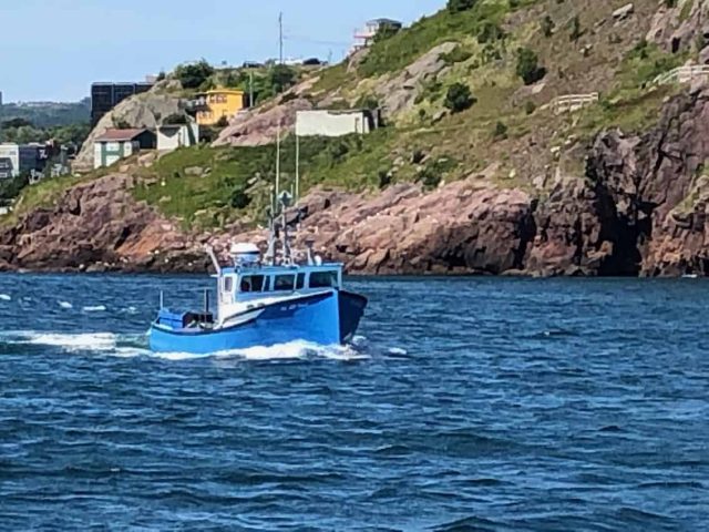 IMG_5353 Newfoundland