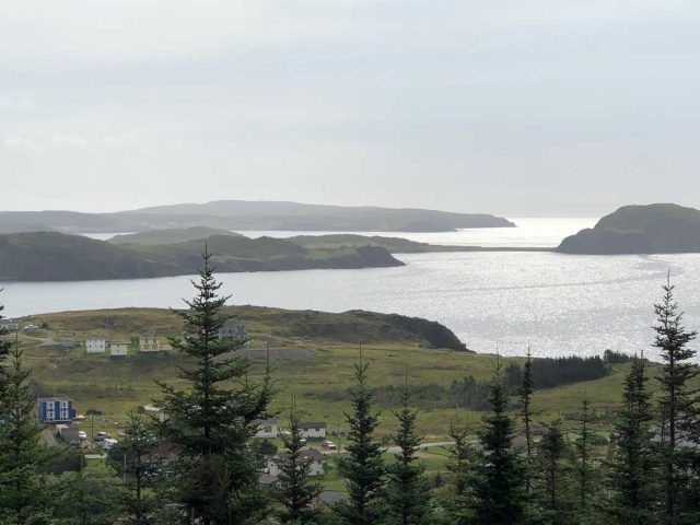 IMG_5420 Newfoundland