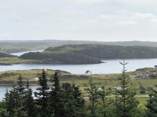 IMG_5421 Newfoundland