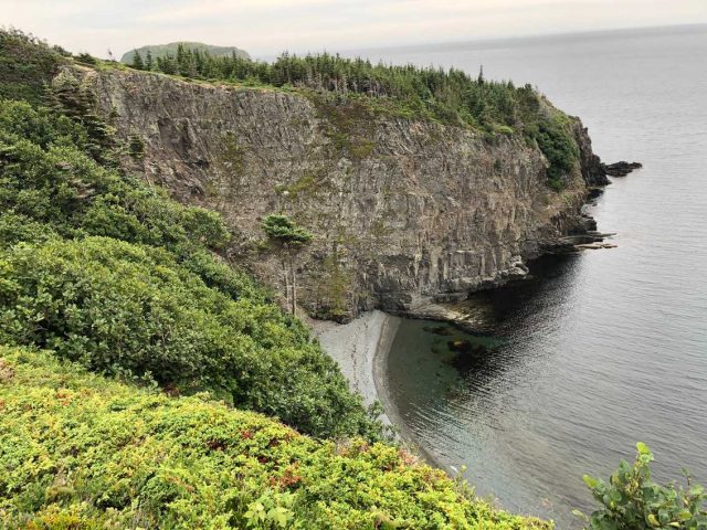 IMG_5430 Newfoundland
