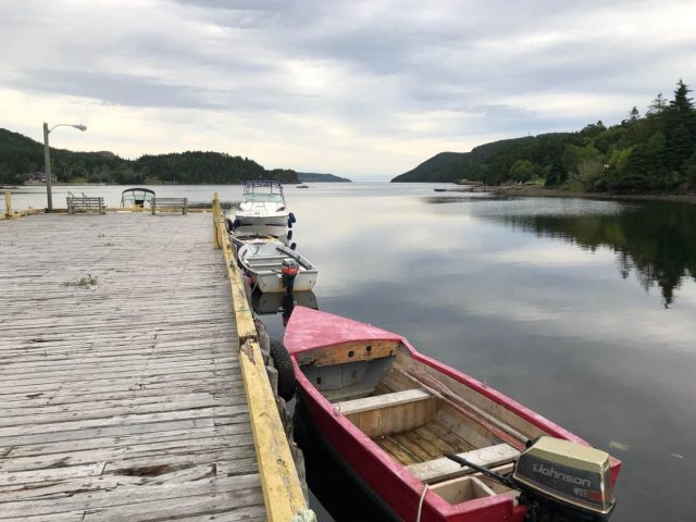 IMG_5584 Newfoundland