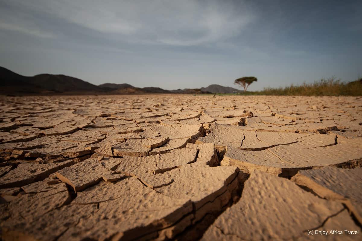 It hadn´t rained for a long time and the cracked soil bore witness to it.