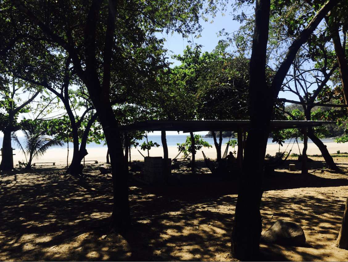 A view of the beach 