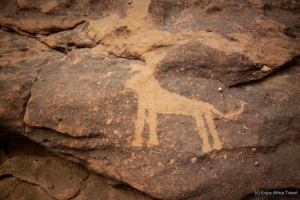 Even lions used to roam part of the Sahara desert