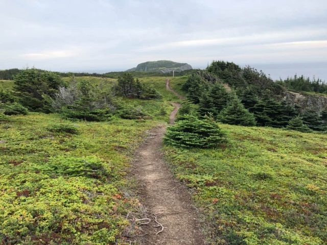 view in Bonavista Newfoundland