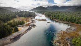 A river in Haida Gwaii