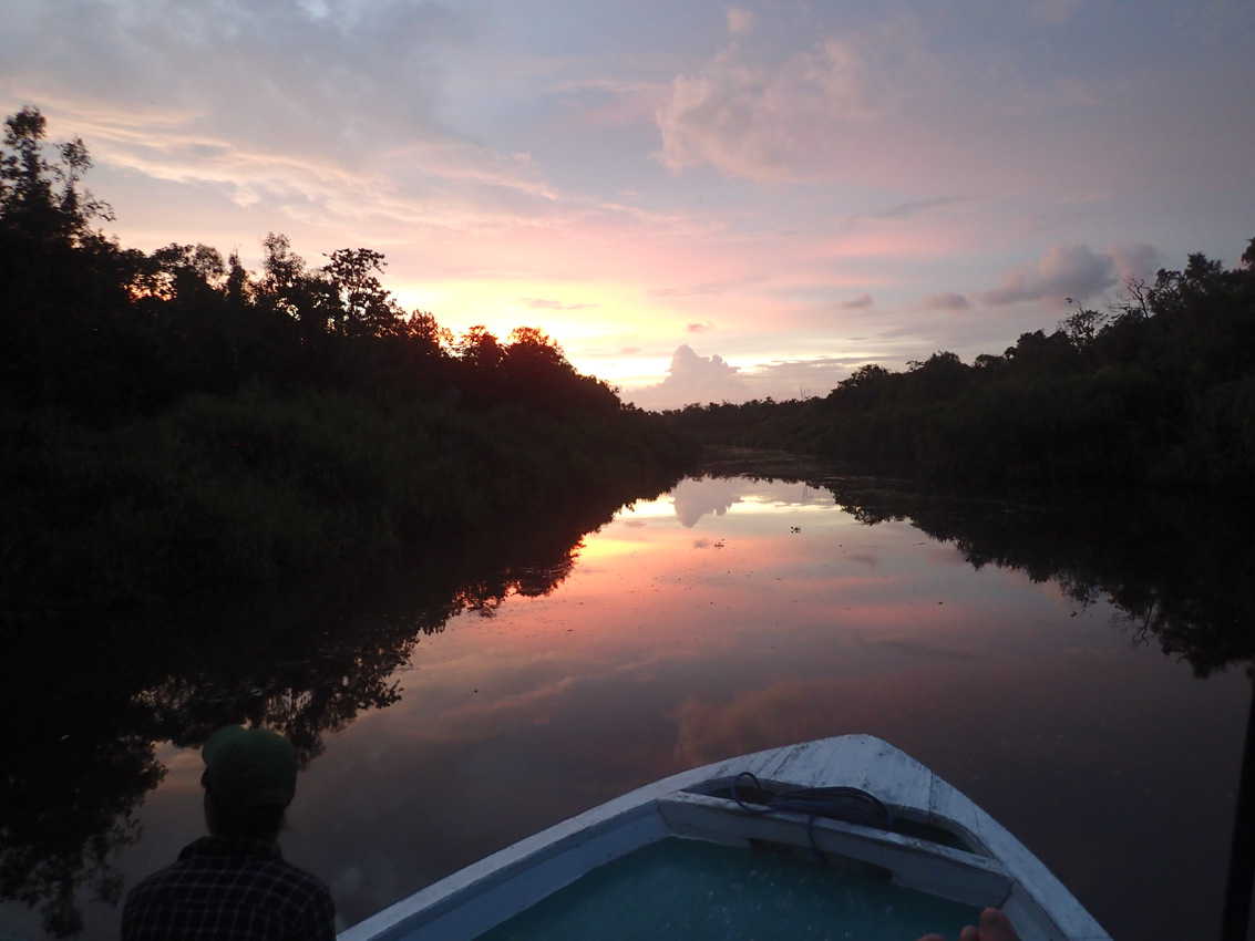 Sunset in Tanjung Puting