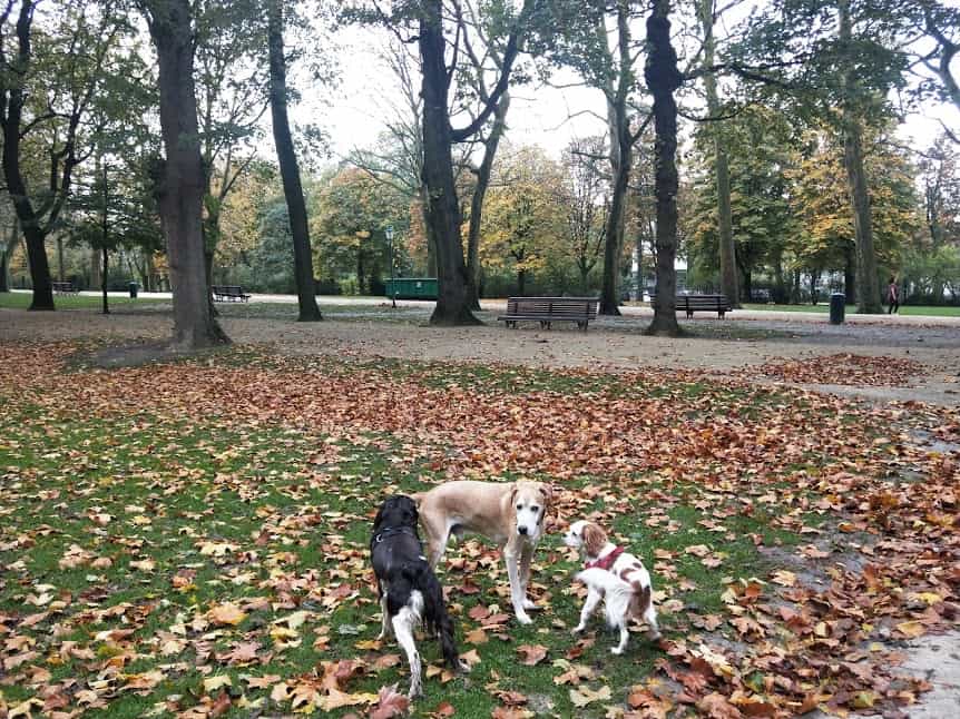 Parc du Cinquantenaire in Belgium.