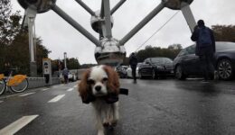 Archie Atomium