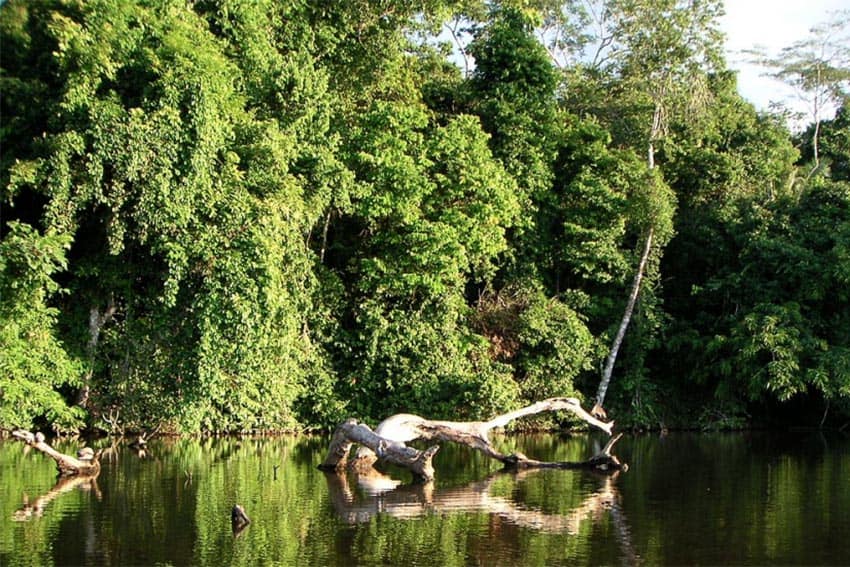 Puerto Maldonado: Piranha Fishing, Eco-touring