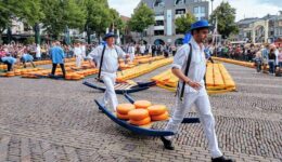 Taking cheese to weigh house at Alkmaar