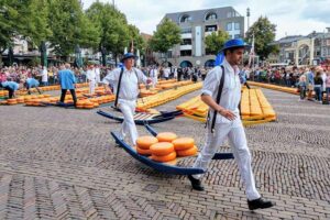 Taking cheese to weigh house at Alkmaar