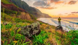 hawaii_pacific_ocean_hike_hiking_power_individual_independence_solo-1071672