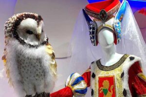 Carnival-costume