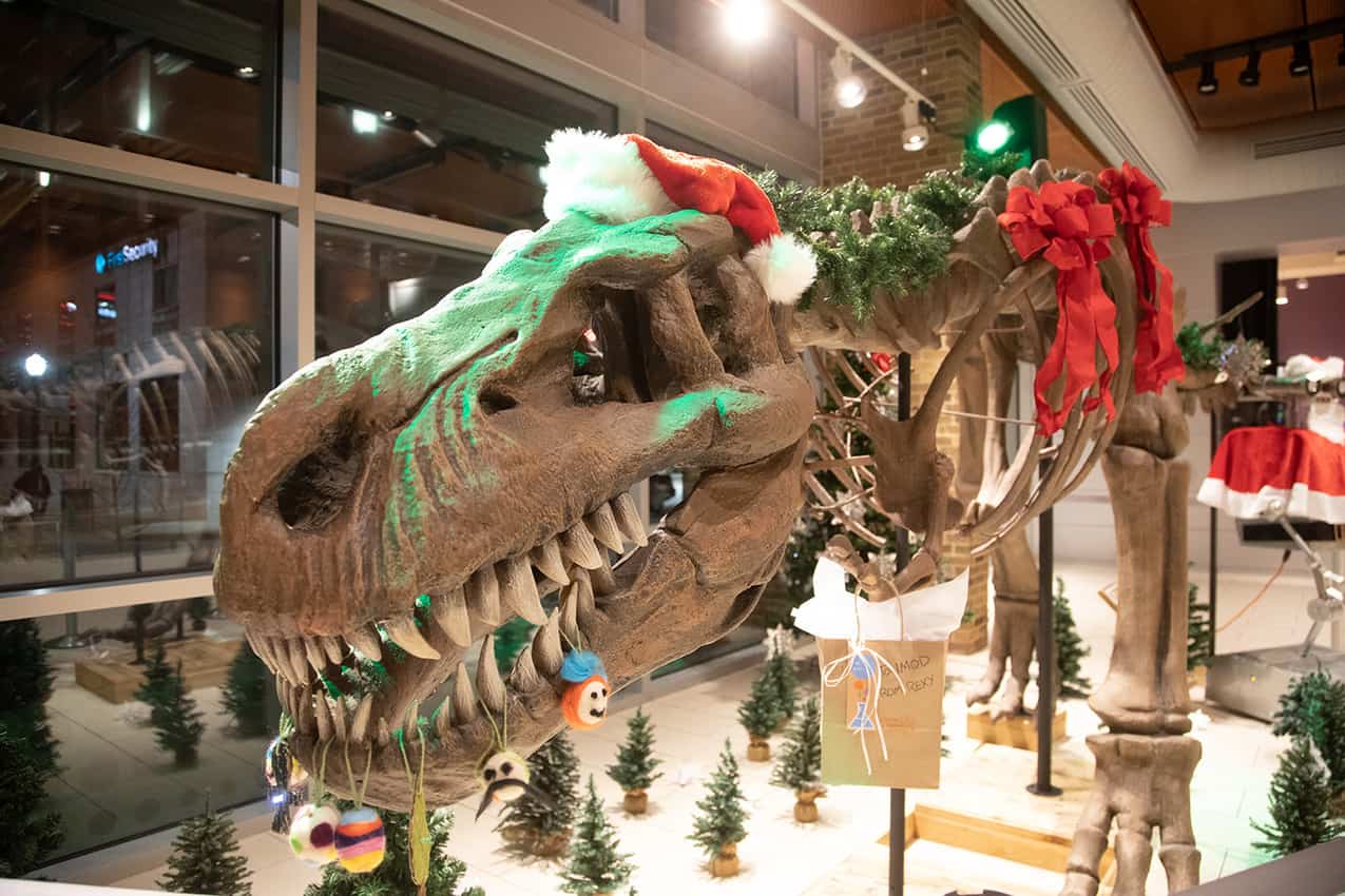 Every month the Museum of Discovery hosts an adult night and locals enjoy craft beer and the fun science exhibits.