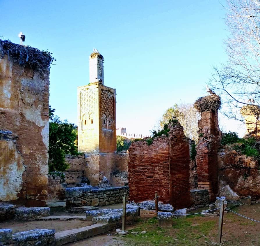 14th-century Merenid ruins populated by storks at Chellah. Mac Dressman photos.