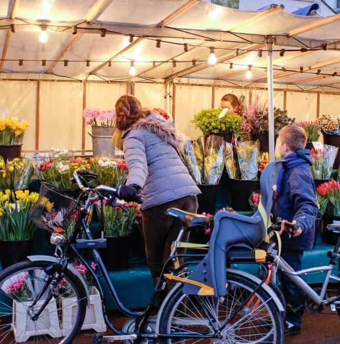 Flower market in Versailles. Alexandre Nestora photo.