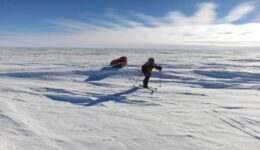 sledding-across-the-snow