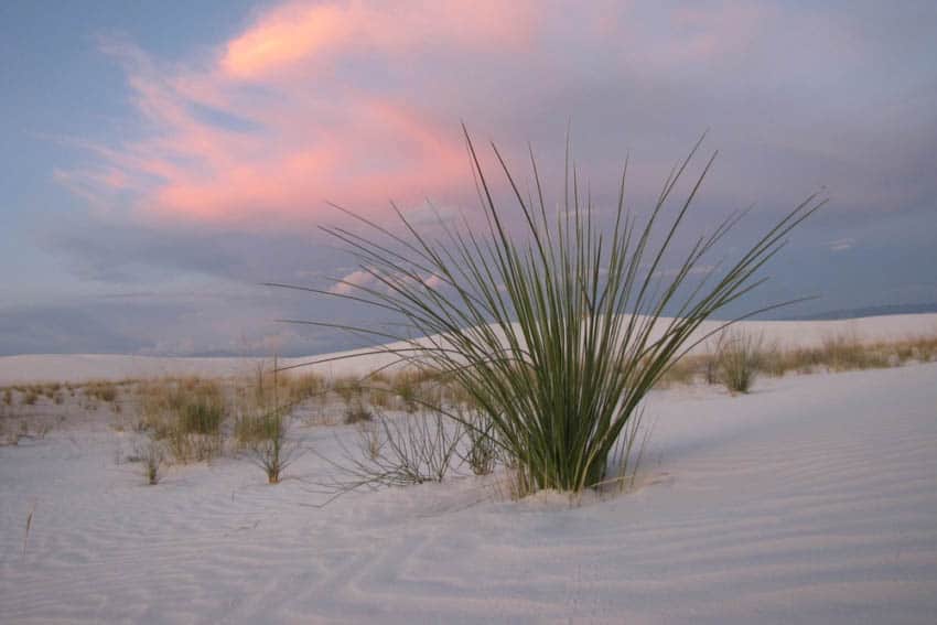 White Sands National Park.