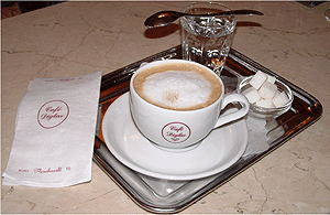 Cappuccino ready to enjoy at Cafe Diglas in Vienna. photos: Antonia Malchik