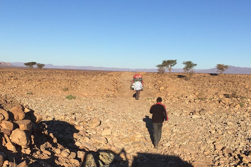 Making like a Gazelle in Morocco.