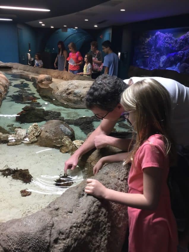 Hands-on fun at Galveston's Moody Gardens Aquarium Pyramid. - Photo by Janis Turk